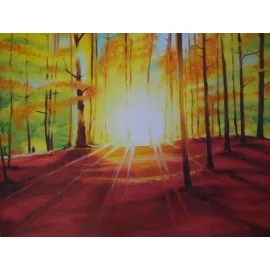 Slnko v lese - Adam Miroslav